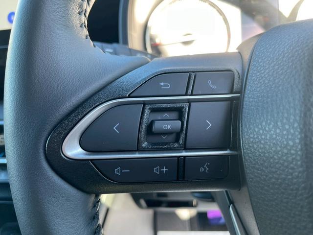 ノア Ｓ－Ｇ　両側パワースライドドア　ナビＴＶ　バックカメラ　Ｂｌｕｅｔｏｏｔｈ　ビルトインＥＴＣ　ドライブレコーダー　８人乗り　フォグランプ（31枚目）