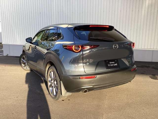 ＣＸ－３０ ２０Ｓ　ＴＳ　ＰＫＧ　ＡＷＤ（3枚目）