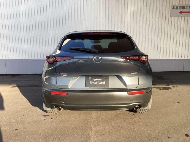 ＣＸ－３０ ２０Ｓ　ＴＳ　ＰＫＧ　ＡＷＤ（4枚目）