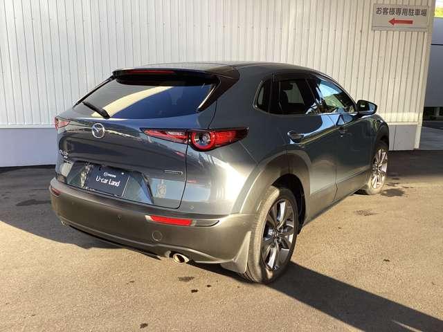 ＣＸ－３０ ２０Ｓ　ＴＳ　ＰＫＧ　ＡＷＤ（5枚目）
