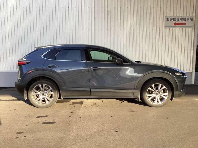 ＣＸ－３０ ２０Ｓ　ＴＳ　ＰＫＧ　ＡＷＤ（6枚目）