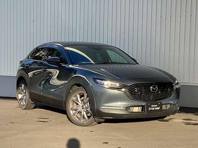 ＣＸ－３０ ２０Ｓ　ＴＳ　ＰＫＧ　ＡＷＤ（7枚目）