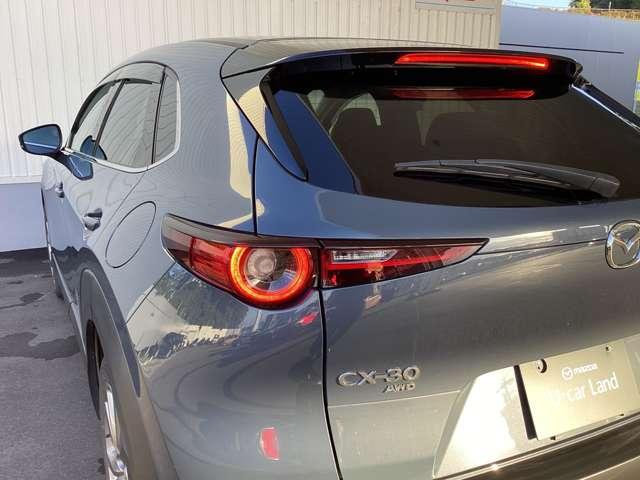 ＣＸ－３０ ２０Ｓ　ＴＳ　ＰＫＧ　ＡＷＤ（9枚目）
