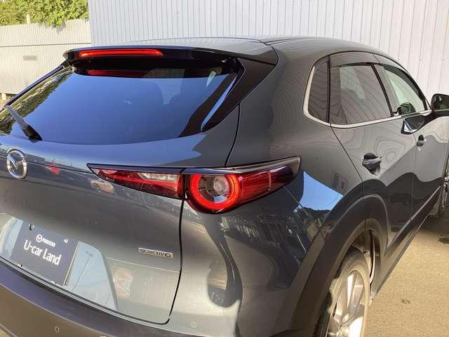 ＣＸ－３０ ２０Ｓ　ＴＳ　ＰＫＧ　ＡＷＤ（10枚目）