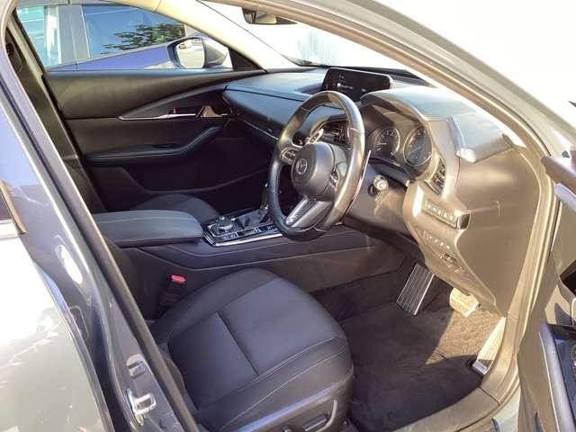 ＣＸ－３０ ２０Ｓ　ＴＳ　ＰＫＧ　ＡＷＤ（16枚目）