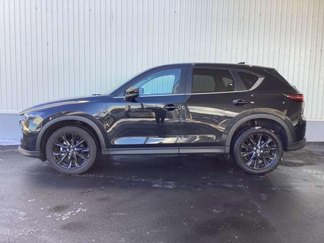 �T�C�h����̌����ڂ��ƂĂ����������`�ł�