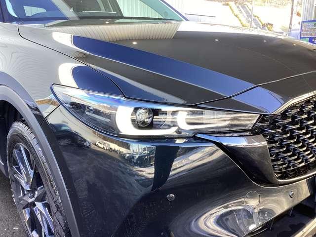 �w�b�h���C�g�͖�Ԃł̎��E����������m�ۂ��Ă��܂��B���S�E���K�ȃh���C�u��������肨�y���݉������B