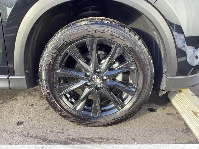 �����͒�Ԃ̏����T�C�Y�^�C���𑕒����Ă��܂��B�����X�̍ہA�h���X�A�b�v�Ȃǂ̂����k������܂��̂ł��C�y�ɂ����k���������܂��B