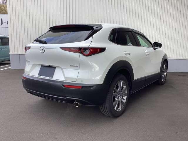 �y�u���C���h�E�X�|�b�g�E���j�^�����O�z�׎Ԑ�������������͑�������ڋ߂���ԗ������m���ăh�A�~���[�ɕ\���B���̏�Ԃł̃E�C���J�[����̍ۂɂ͌x�񉹂Ŋ댯�����m�点�B���ԏꂩ��o�b�N�ŏo�ɂ̍ۂɂ�����I