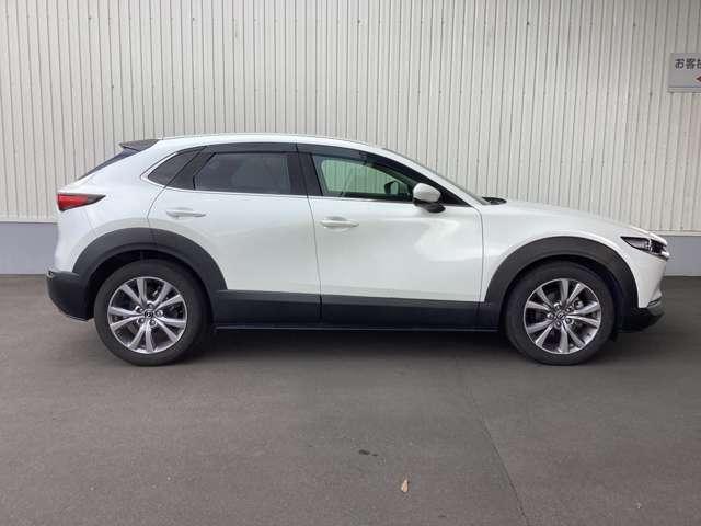 ������̃f�U�C�����X�^�C���b�V���ł����������ł��ˁI