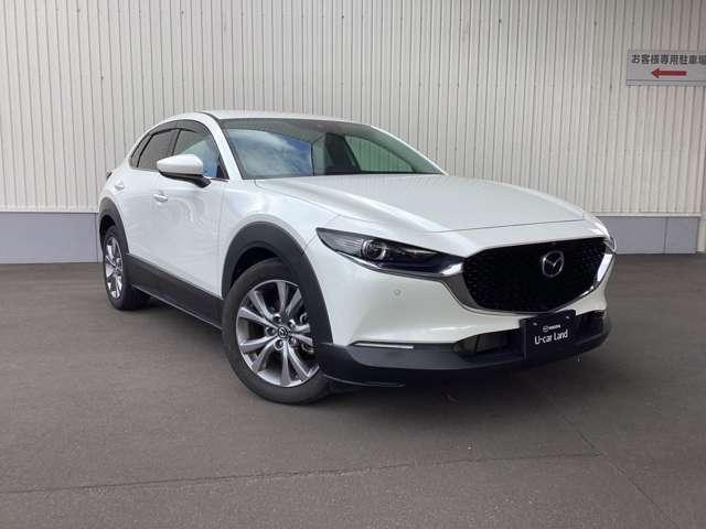 �^�t�ŗ͋����X�^�C���A����ł����ėV�ѐS�����˔����Ă���f�U�C���͑����̕����炲�D�]�����������Ă��܂��I