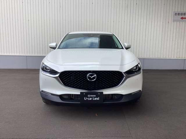 ���Ă��������I���̑唗�͂ȃt�����g�t�F�C�X�I���̃}�c�_���ے�����͋�������ۓI�ł��I