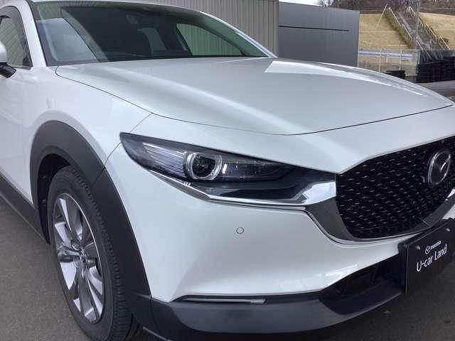 �k�d�c�w�b�h���C�g�Ŗ�Ԃ̑O�����E��ǍD�ɂ��܂��B�܂��I�[�g���C�g�V�X�e���œ_���E�����������ł��܂��B�������H�̃g���l���ł��֗��ł��B