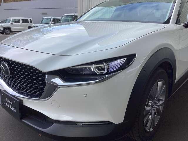 �w�b�h���C�g�͖�Ԃł̎��E����������m�ۂ��Ă��܂��B���S�E���K�ȃh���C�u��������肨�y���݉������B