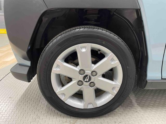 タフト Ｇ（19枚目）