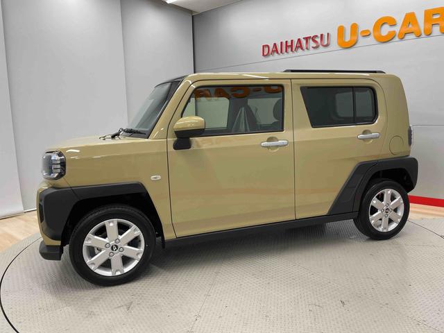 タフト G(5枚目)