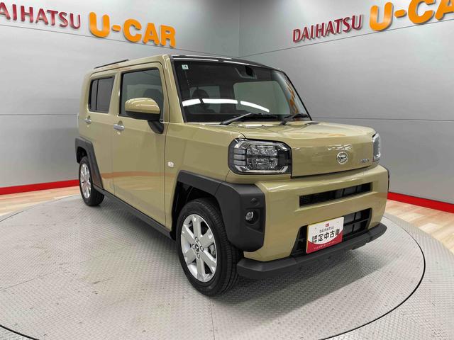 タフト G(6枚目)