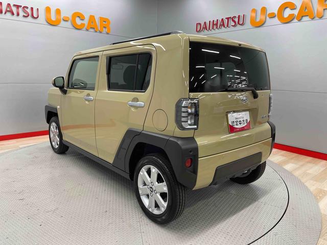 タフト G(9枚目)