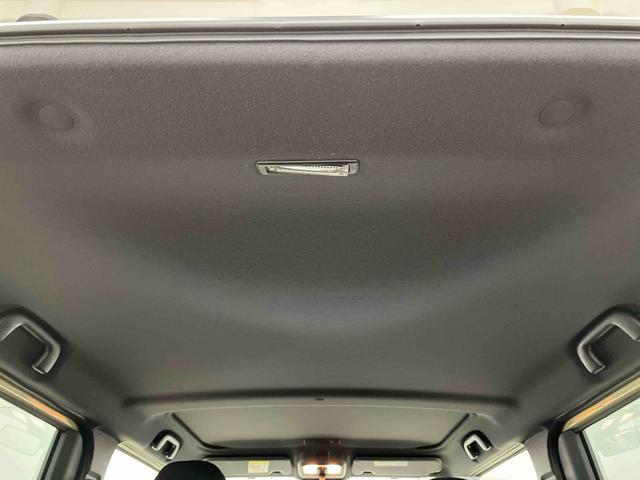 タフト G(12枚目)