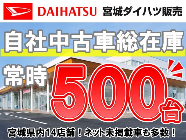 ムーヴキャンバス ストライプスＧ（21枚目）