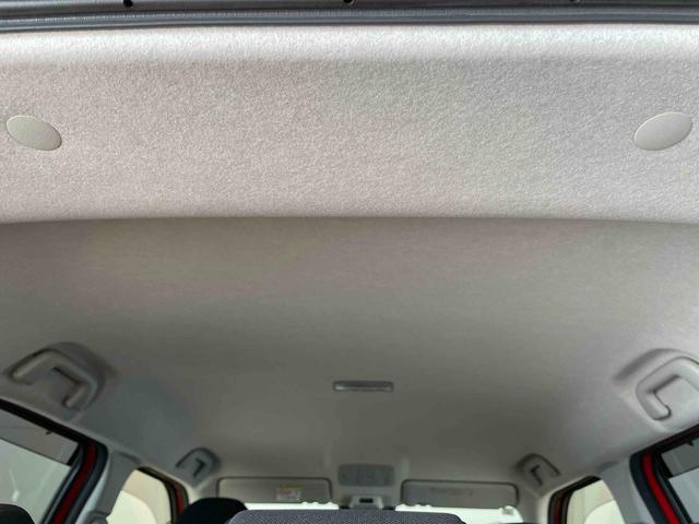 ロッキー Ｘ（12枚目）