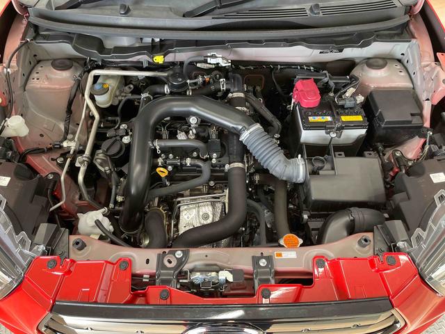 ロッキー Ｘ（17枚目）