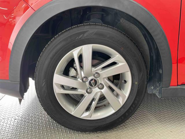 ロッキー Ｘ（19枚目）