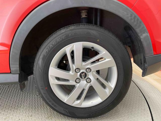 ロッキー Ｘ（20枚目）