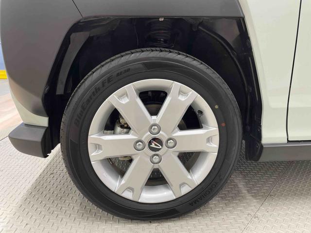 タフト Ｇ（19枚目）