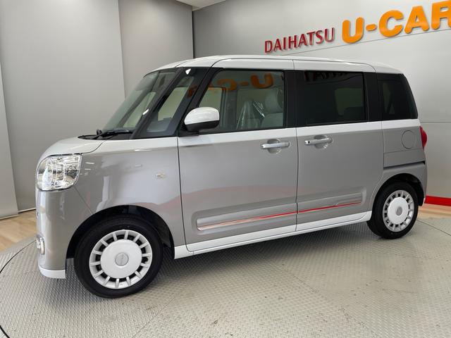 ムーヴキャンバス ストライプスＧ（3枚目）