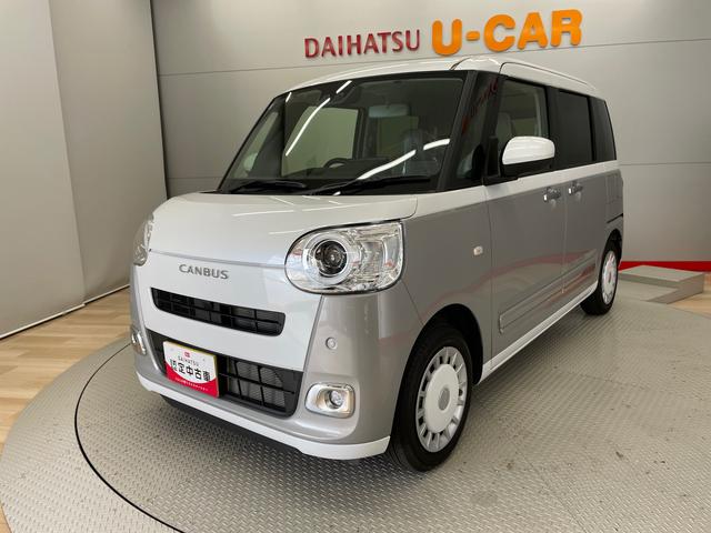 ムーヴキャンバス ストライプスＧ（4枚目）