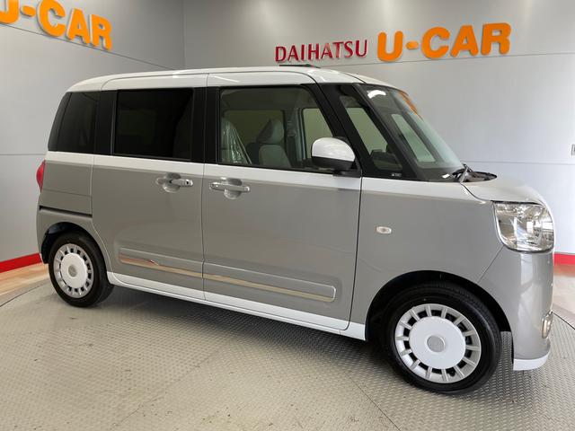 ムーヴキャンバス ストライプスＧ（5枚目）