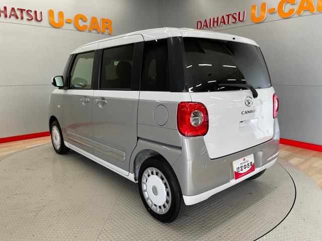 ムーヴキャンバス ストライプスＧ（13枚目）