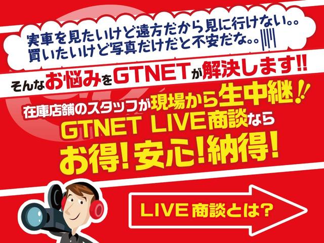 タイプS ワンオーナー STIフロントリップ 純正SDナビ(18枚目)