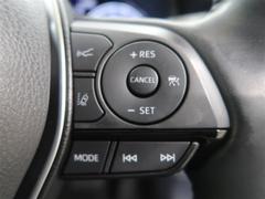 �ϥꥢ���ϥ��֥�å� �ڡ��쥶���ѥå��������ץ����ȡ�����롼�ա����ף� 0902204A20251223T001 4