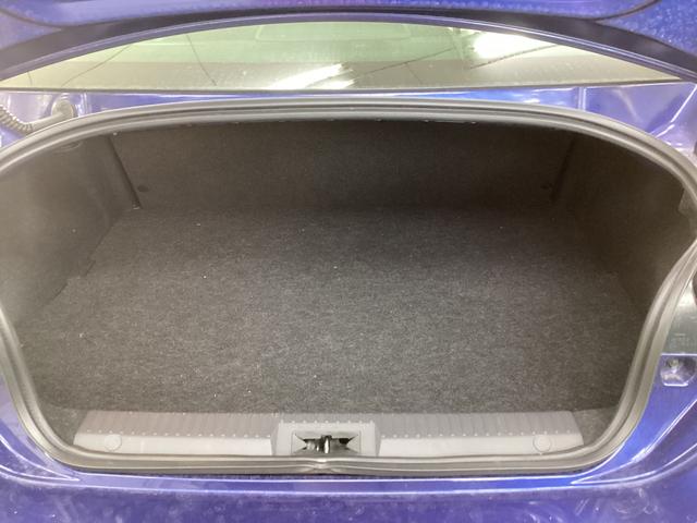 ＢＲＺ ＳＴＩ　スポーツ（6枚目）