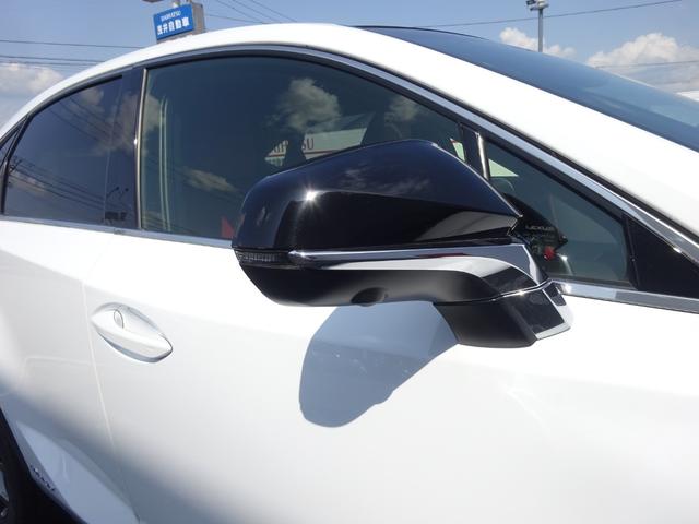 ＮＸ ＮＸ３００ｈ　Ｆスポーツ　４ＷＤ　後期 0902315A30230528W001 48