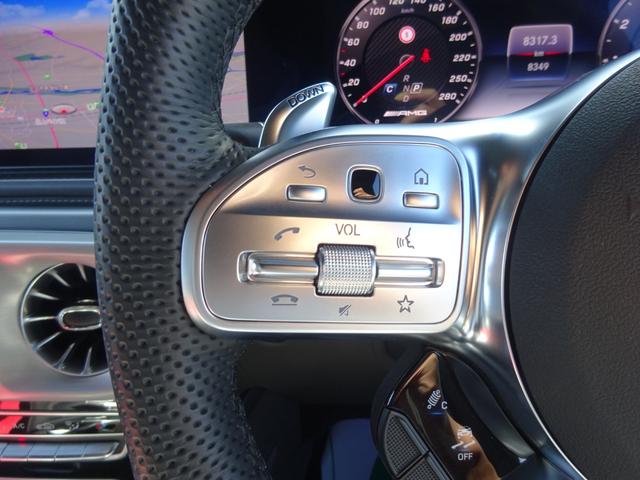 Ｇクラス Ｇ６３　ＭＡＮＵＦＡＫＴＵＲプログラムプラス　ＭＡＮＵＦＡＫＴＵＲインテリアプラスＰＫＧ　ＡＭＧカーボンファイバーインテリアトリム　ＡＭＧナイトＰＫＧ　ＡＭＧ２２ｉｎアルミ　ＳＲ　ワンオーナー　ＥＴＣ２．０（15枚目）