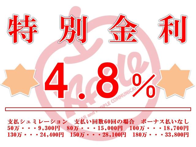 　ＳＴＤ・４ＷＤ・４速マニュアル・アクスルロック(14枚目)