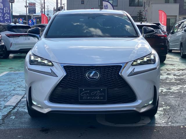 NX NX300h Fスポーツ 4WD ハイブリッド 純正フルセグナビ バックカメラ ステアリングヒーター 本革シート パワーバックドア シートヒーター/クーラー パワーシート パドルシフト クルーズコントロール ブレーキホールド(32枚目)