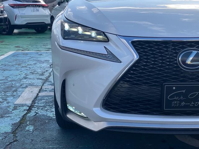 NX NX300h Fスポーツ 4WD ハイブリッド 純正フルセグナビ バックカメラ ステアリングヒーター 本革シート パワーバックドア シートヒーター/クーラー パワーシート パドルシフト クルーズコントロール ブレーキホールド(33枚目)