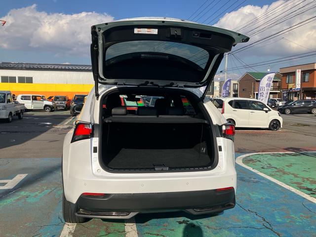 NX NX300h Fスポーツ 4WD ハイブリッド 純正フルセグナビ バックカメラ ステアリングヒーター 本革シート パワーバックドア シートヒーター/クーラー パワーシート パドルシフト クルーズコントロール ブレーキホールド(38枚目)