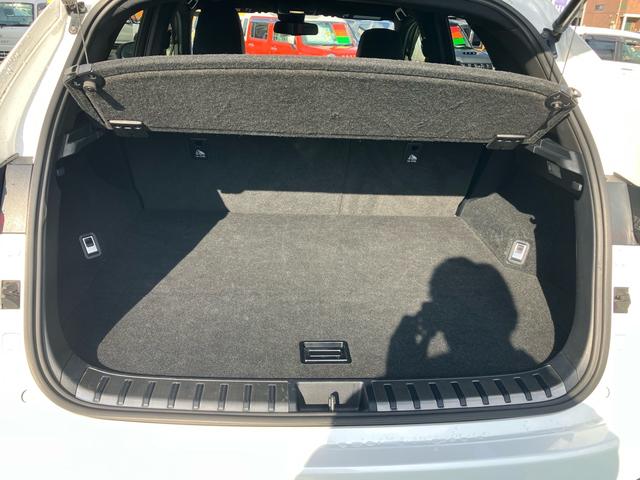 NX NX300h Fスポーツ 4WD ハイブリッド 純正フルセグナビ バックカメラ ステアリングヒーター 本革シート パワーバックドア シートヒーター/クーラー パワーシート パドルシフト クルーズコントロール ブレーキホールド(39枚目)