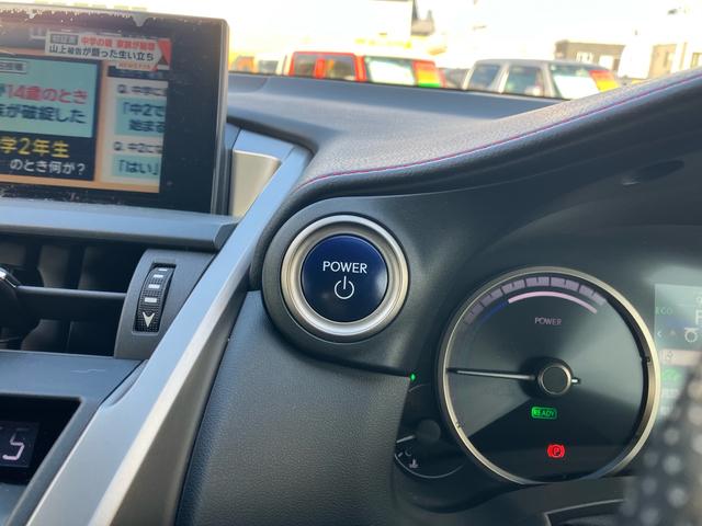 NX NX300h Fスポーツ 4WD ハイブリッド 純正フルセグナビ バックカメラ ステアリングヒーター 本革シート パワーバックドア シートヒーター/クーラー パワーシート パドルシフト クルーズコントロール ブレーキホールド(51枚目)