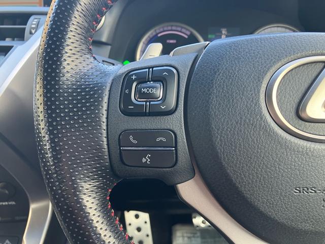 NX NX300h Fスポーツ 4WD ハイブリッド 純正フルセグナビ バックカメラ ステアリングヒーター 本革シート パワーバックドア シートヒーター/クーラー パワーシート パドルシフト クルーズコントロール ブレーキホールド(52枚目)