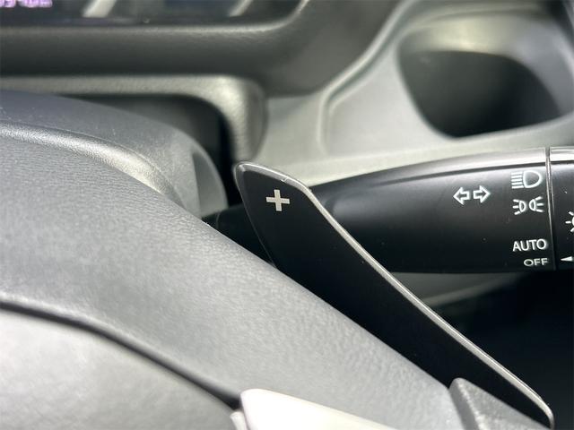 スペーシア T 4WD 全周囲カメラ 両側電動スライドドア ナビ TV オートクルーズコントロール レーンアシスト 衝突被害軽減システム オートライト スマートキー アイドリングストップ 電動格納ミラー(47枚目)