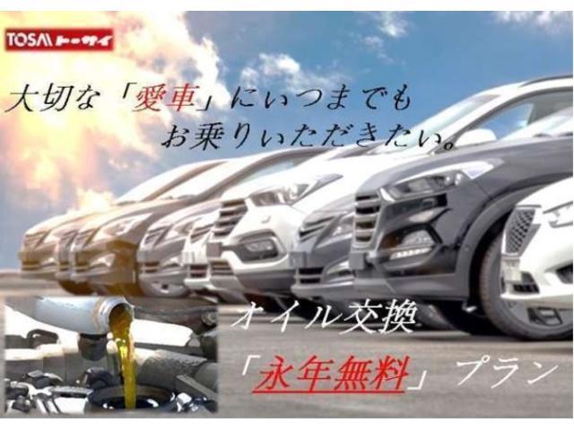 Gi プレミアムパッケージ 4WD 当店買取車両 ワンオーナー パナソニックフルセグフローティングナビ アルパインフリップダウンモニター 寒冷地セット ハーフレザーシート 両側パワースライドドア(39枚目)
