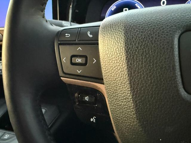 クラウンクロスオーバー ＲＳアドバンスド　４ＷＤ　純正１２．３型ワイドナビ　全周囲カメラ　セーフティセンス　レーダークルーズ　ＡＣ１００Ｖ電源　ワイヤレス充電　黒革シート　パワーシート　シートベンチレーション　ＥＴＣ　ＬＥＤヘッドライト（32枚目）