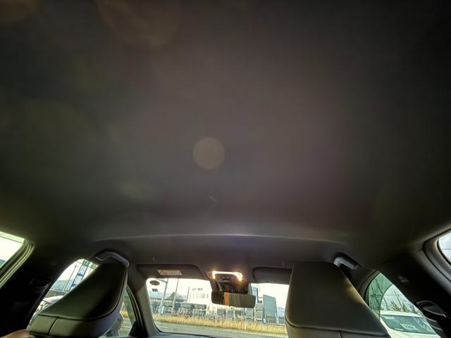 クラウンクロスオーバー ＲＳアドバンスド　４ＷＤ　純正１２．３型ワイドナビ　全周囲カメラ　セーフティセンス　レーダークルーズ　ＡＣ１００Ｖ電源　ワイヤレス充電　黒革シート　パワーシート　シートベンチレーション　ＥＴＣ　ＬＥＤヘッドライト（47枚目）