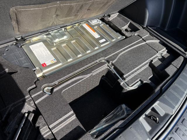 フォレスター アドバンス　４ＷＤ　純正ナビ　バックカメラ　アイサイトセーフティプラス　レーダークルーズ　合皮シート　パワーシート　シートヒーター　パワーバックドア　ＬＥＤヘッド　レーンキープアシスト　ヘッドランプウォッシャー（52枚目）